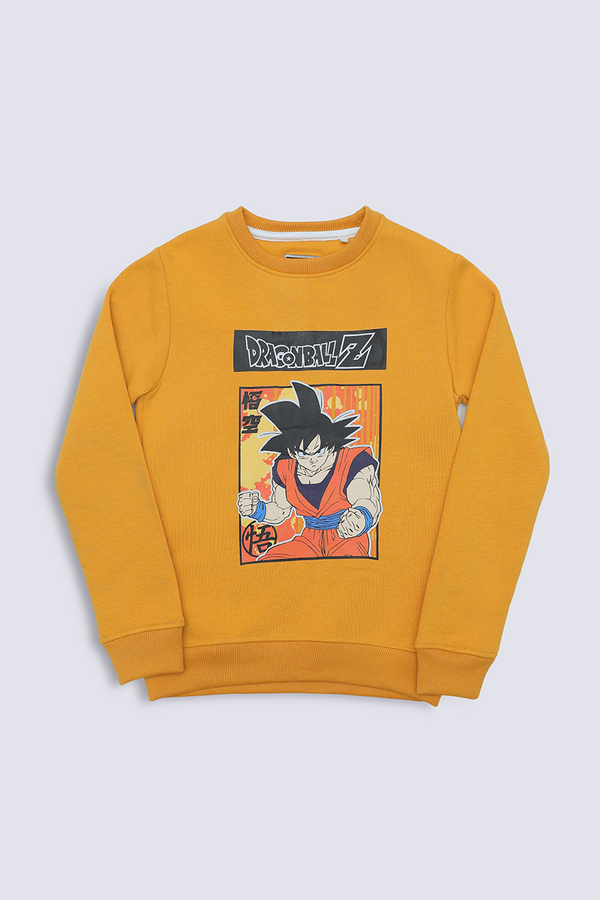 Boy Sweat Shirt