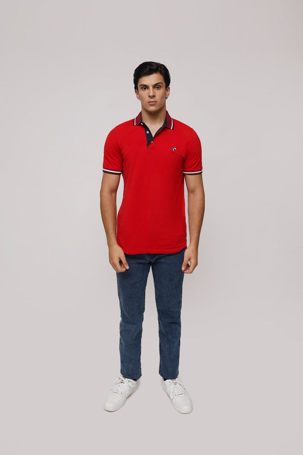 Men Contrast Polo